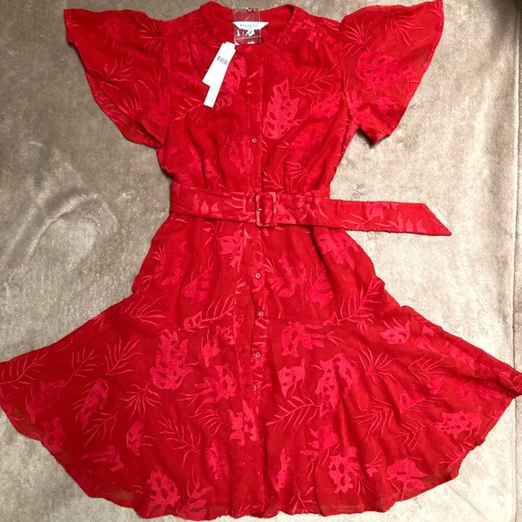 NWT ANTHROPOLOGIE RANNA GILL SCARLETTE Embroided mini dress - size XS - Picture 3 of 10